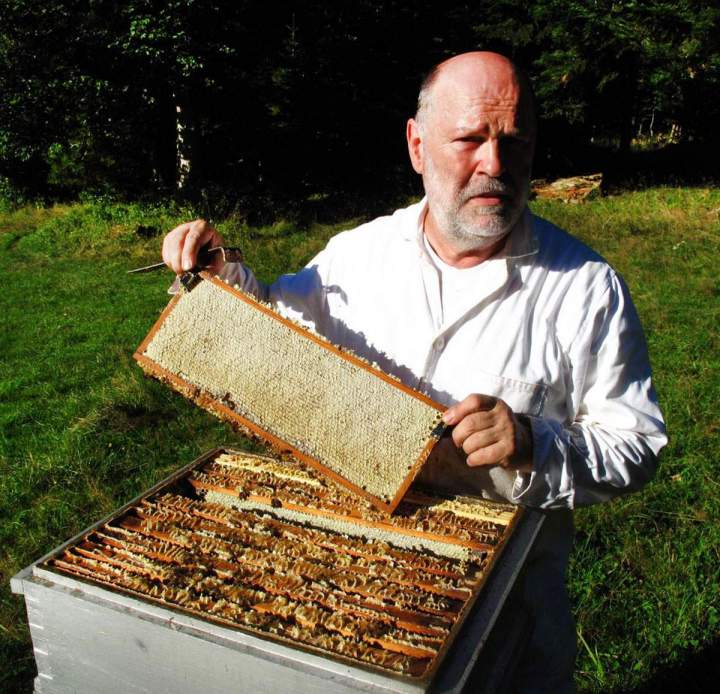 Production et vente de miel