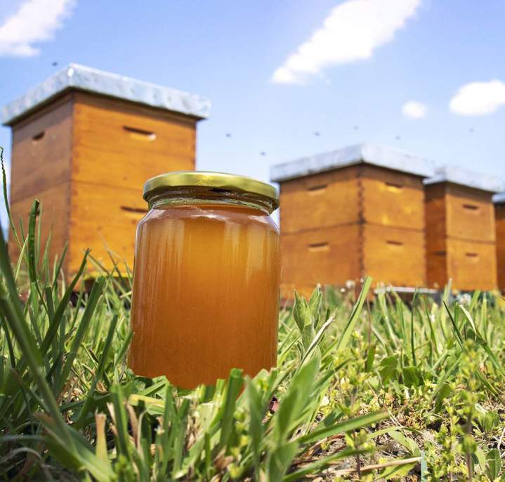 Miel de qualité issu de notre exploitation apicole