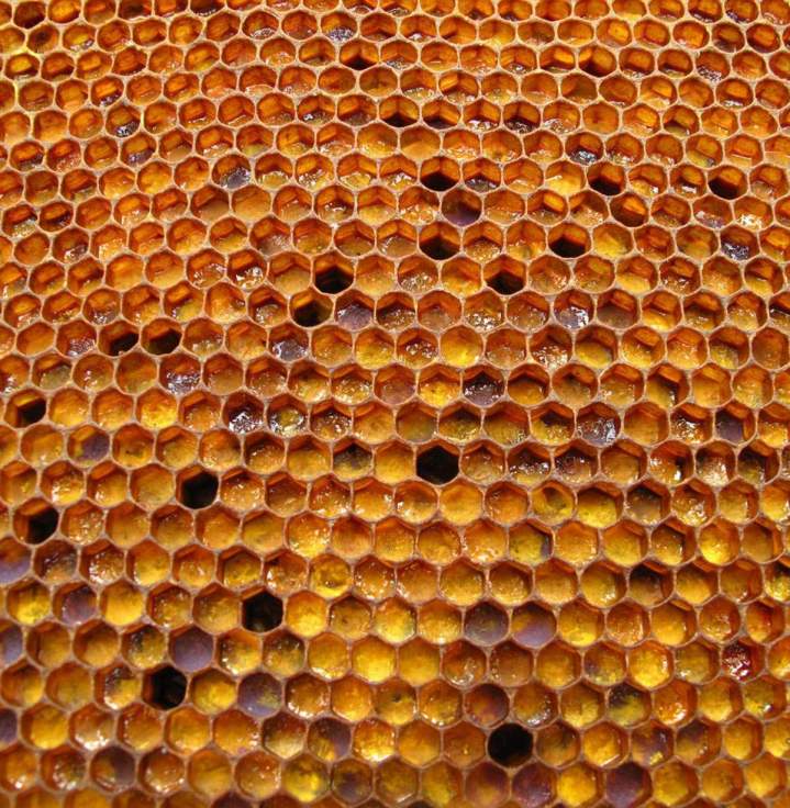 Vente de pollen provenant de nos propres ruches